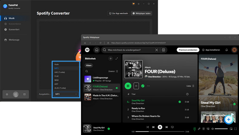 Spotify-Inhalten für unbegrenztes Teilen in gängige Formate umwandeln