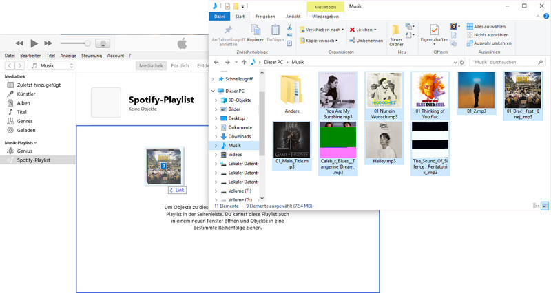 Spotify Songs in iTunes importieren