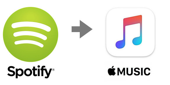 spotify musik in Apple Music exportieren